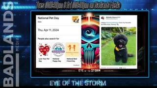 EOTS Clips - Ep. 115: A Dog Comms Afternoon