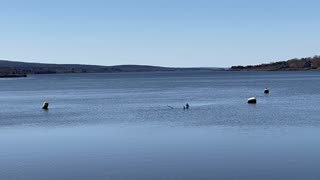 Standing On A Causeway In Annapolis Royal Looking Out At The Annapolis Basin