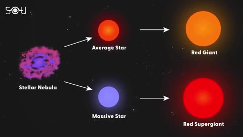 It's hard to ignore Betelgeuse