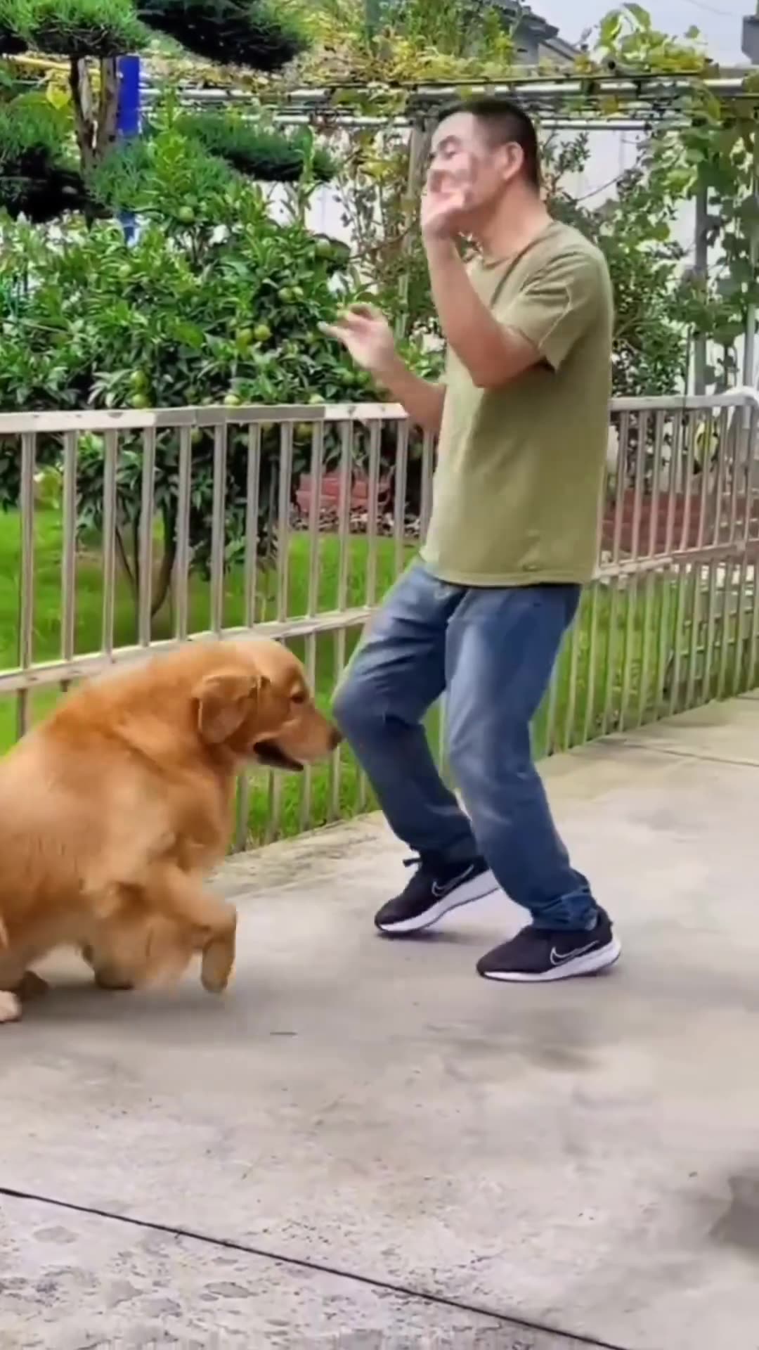 Funny 😂 Video's 😂 #funnydogs #funnydogvideos #funnydogshorts