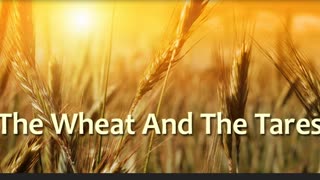 The Lion's Table: The Wheat and the Tares