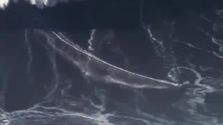 The biggest ever recorded surfed wave