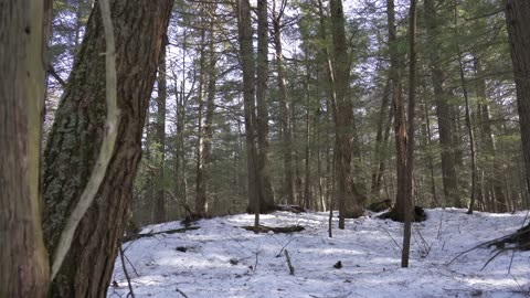 Solo Camping in the Snow - No Shelter