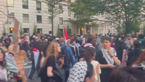 DISGRACEFUL: Pro-Palestinian protesters in NYC deface WWI memorial and