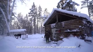 Living Alone in the Wild Siberian Forest