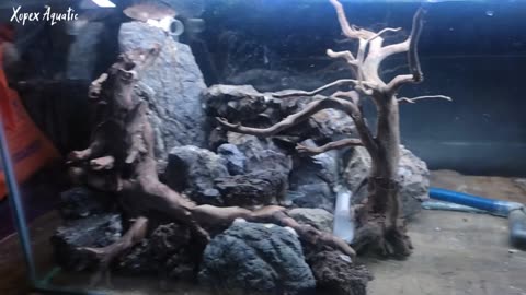 How To Make a Waterfall Forest Aquascape. Part 2