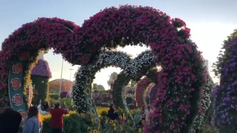 Dubai Miracle Garden : World's largest flower garden!!