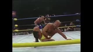 ARN ANDERSON VS. BOBBY EATON