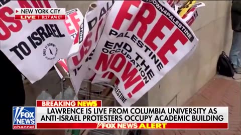 Pro-Palestine Protestor Decides To Walk Away During Interview