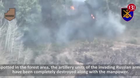 Russian artillerymen preparing for attack in Kherson forest SUBJECTED TO FIRE themselves