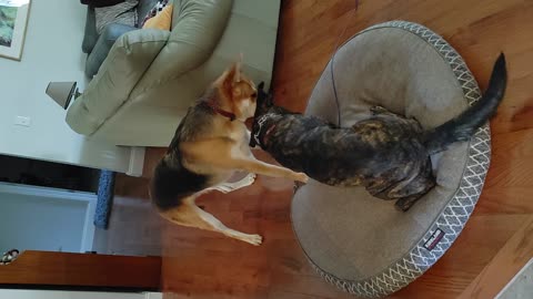 Tug - o - War