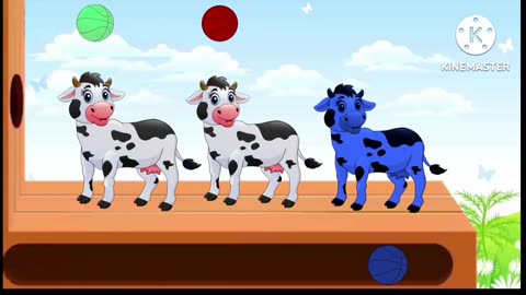 pig colour foundation boll animashion video for kids .kida video #cartoon #animals