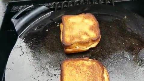GRILLED CHEESE OVER BEECH