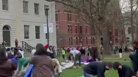 WILD: Pro-Palestinian Harvard Students Run To Set Up Autonomous Zone On Campus