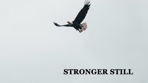 Pray USA, 2/11/23 Stronger Still