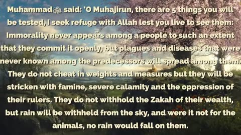 Allah's Final Warning in my Dream Muslim Civil War - Qasim - Allah and Muhammad SAW in my Dreams