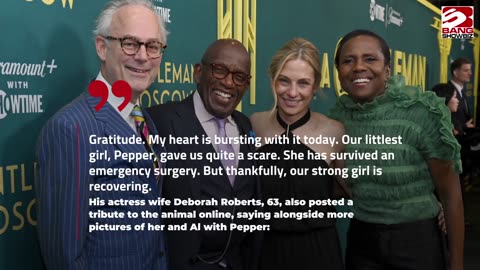 Al Roker Pauses 'Today' Show Duties for Pet's Emergency Surgery.