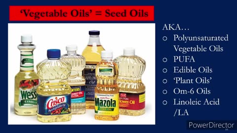Dr. Chris Knobbe - 'Diseases of Civilization: Are Seed Oil Excesses the Unifying Mechanism?'