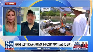 Maine lobsterman warns growing environmental restrictions are 'devastating' industry