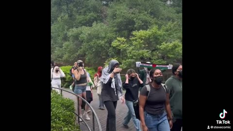 UT Austin Hate Rally