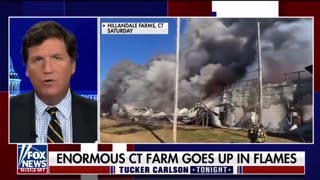 Tucker on the Chicken farm fires