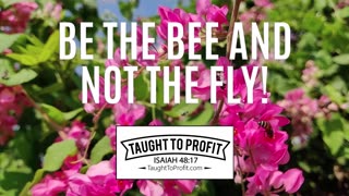 Look For Beauty And Not For Unclean Things - Be The Bee And Not The Fly!