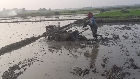 How to cultivate soil by tractor in village