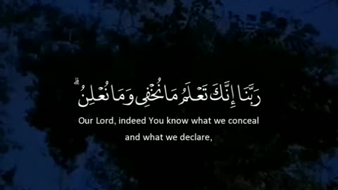 رَبَّنَا إِنَّكَ تَعْلَمُ مَا نُخْفِي وَمَا نُعْلِنُ|القارئ عبد الباسط عبد الصمد#قرآن #القرآن_الكريم