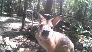 Saying Hello to Goggles