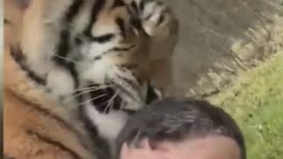 Hugs Between Animals and Owners