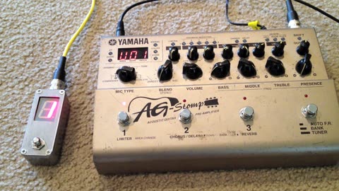 Yamaha AG Stomp Mod