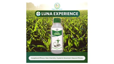 Elevating Agricultural Excellence: Luna Experience in India