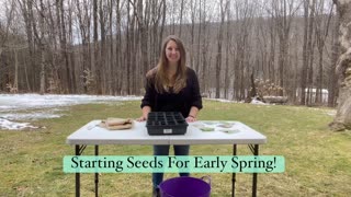 Starting Seeds For Early Spring ⛅️ 💜🌱
