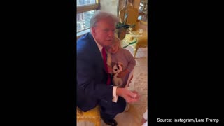 Heartwarming Video Shows Trump Greeting Grandkids after His Trial