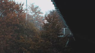 Fall Asleep Instantly- 25 Minute Heavy Rain Sound On Window For Sleeping, Relaxing, Amd Meditating