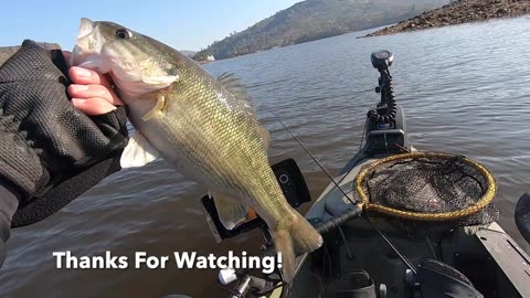 Lake Tulloch Winter Bass Fishing Jumbo Spot!