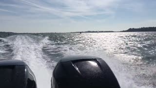 Poole Harbour Rib