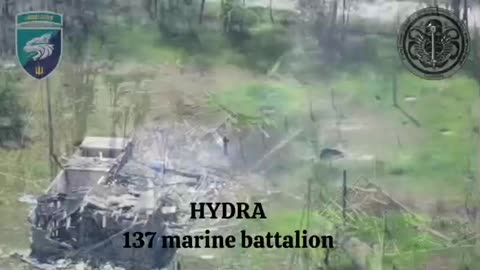 Ukrainian Marine Drone Crew Hitting a Russian "Safehouse"