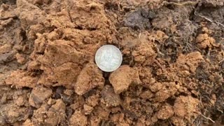 Coins Of The Field Metal Detecting Part4