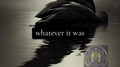 : ALEX: COLLIER: Coming-Soon of a Black-Swan-[E]vent.