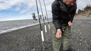 Surf Fishing & Camping on a Beach - Halibut Catch & Cook