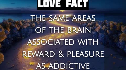 Love Fact