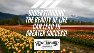 Understanding The Beauty Of Life Can Lead To Greater Success!