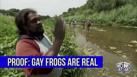 PROOF! Gay Frogs Are Real Alex Jones Was Right