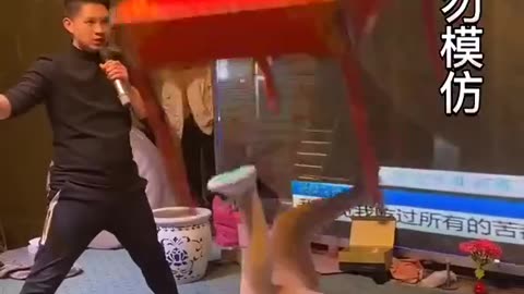 An acrobatic feast from a Chinese woman