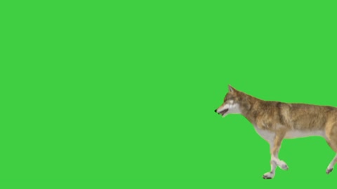 Green screen no copyright