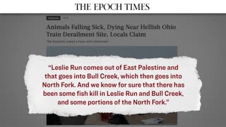 Media Blackout as US Chemical Disaster Rages On: Animals and Fish Dying