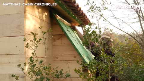 Man Builds Amazing DIY Wood Cabin in the Forest Start to Finish | by @MatthiasCabinChronicles