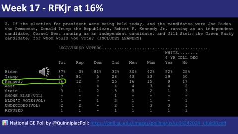 Election 2024 - Week 17 Update