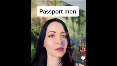 Passport bros have Post Wall Woman making up stories - Sysbm reaction